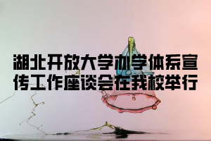 湖北开放大学办学体系宣传工作座谈会在我校举行